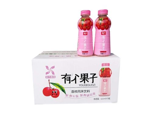 荔枝風(fēng)味飲料1*15*520ml